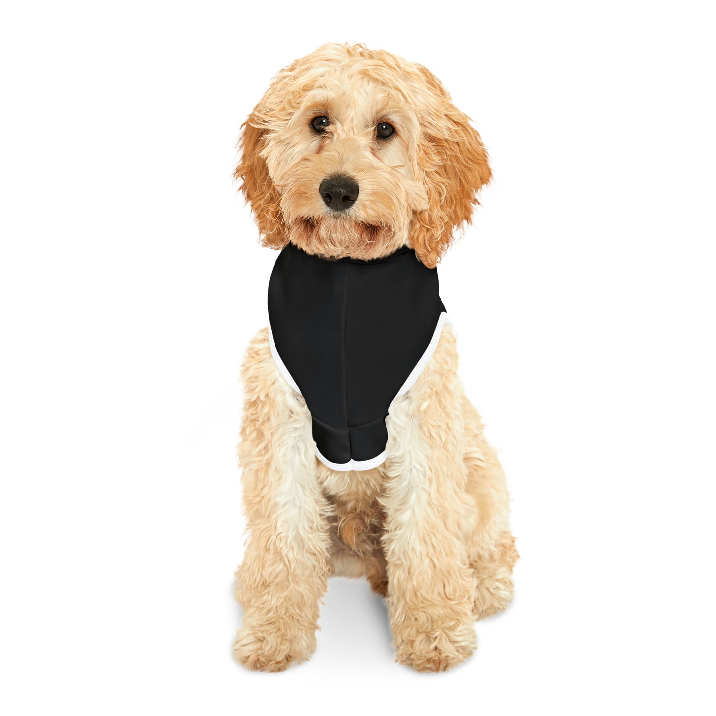 Bitchota Pet Hoodie